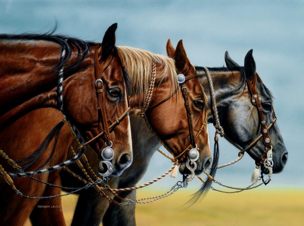 Vaquero Ranch Horses equestrian art print by Calgary Artist Shannon Lawlor