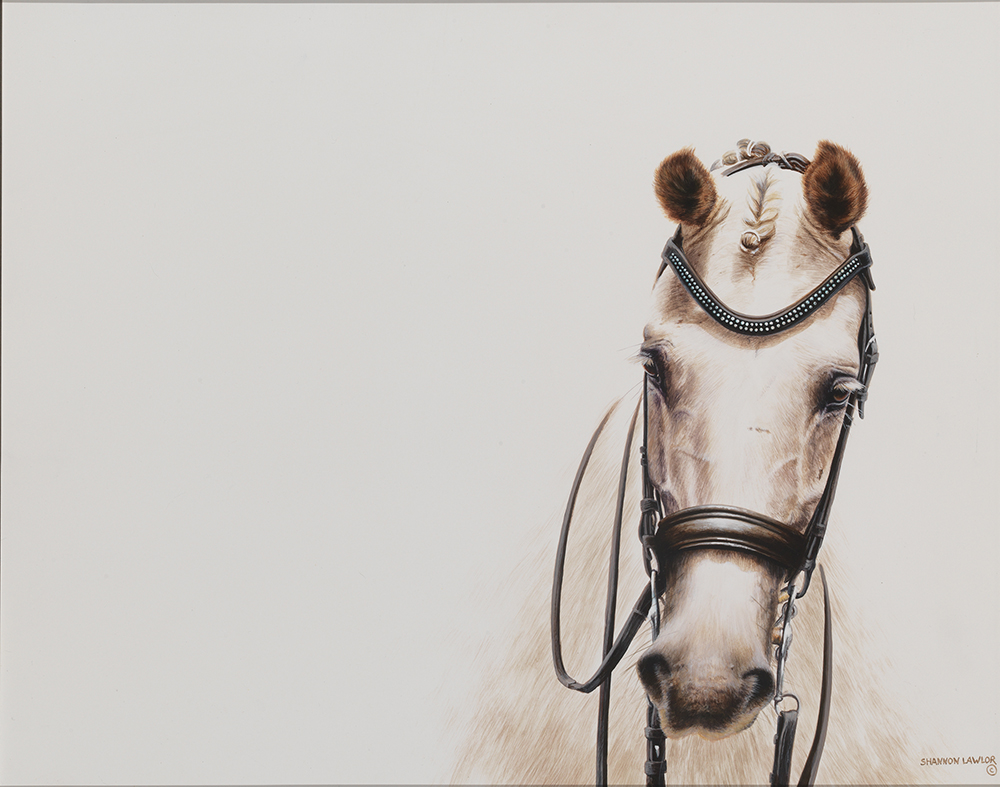 equestrian decor statement art print by Calgary artist Shannon Lawlor
