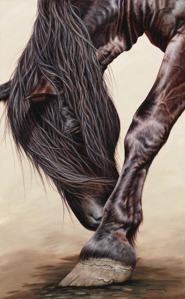 equestrian art print by Calgary Artist Shannon Lawlor
