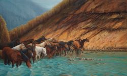 horses in the river equestrian art print by Calgary Artist Shannon Lawlor