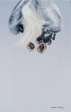 equestrian decor statement art print by Calgary artist Shannon Lawlor