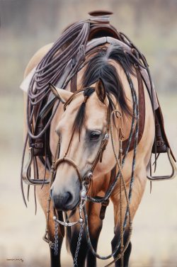 Buckskin bridle horse Bar U Ranch Rodeo Vaquero equine art original painting by Calgary artist Shannon Lawlor
