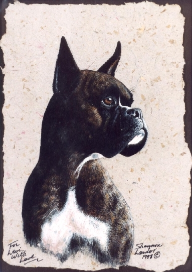 Boxer Dog Pet Portrait Pet Portrait original painting by Calgary artist Shannon Lawlor