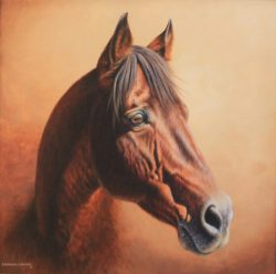 Cape Canaveral Senior Thoroughbred Commission Acrylic Painting by Calgary Artist Shannon Lawlor